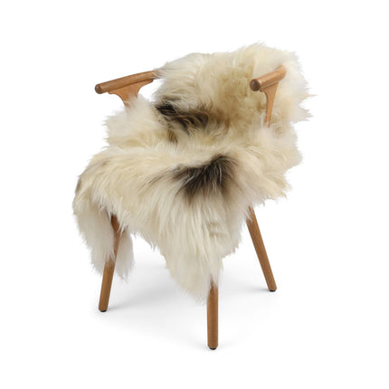  Icelandic Sheepskin | 100-120 cm Art Spotted