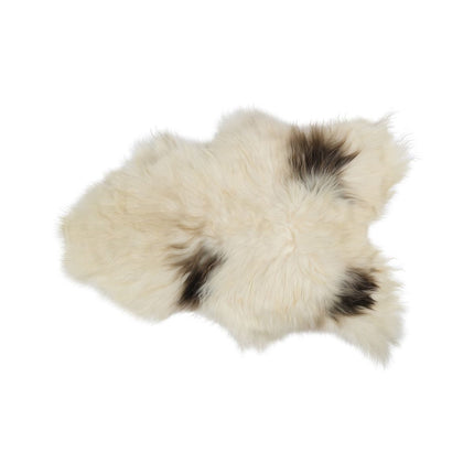  Icelandic Sheepskin | 100-120 cm Art Spotted